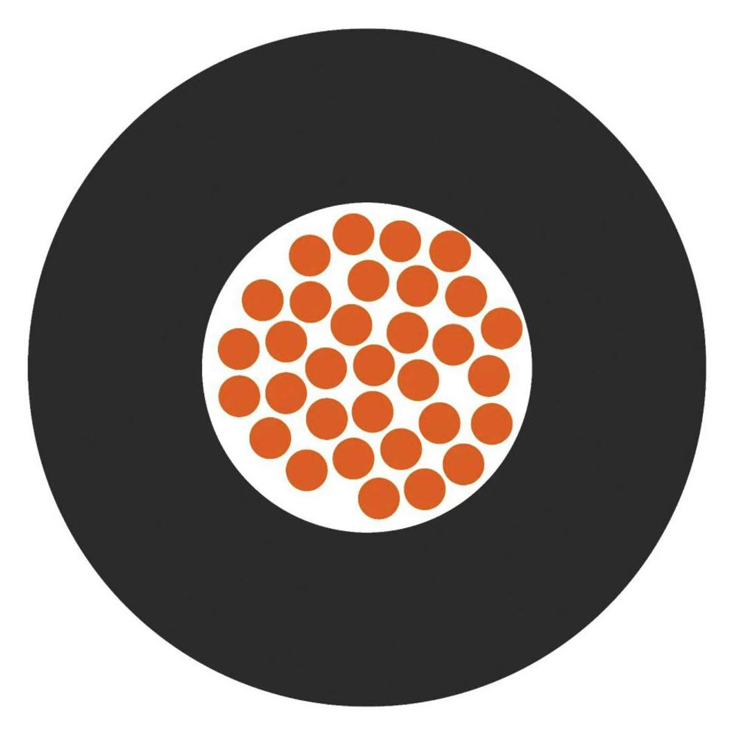 Lapp Einzelader (250 m) (4510083S/250)