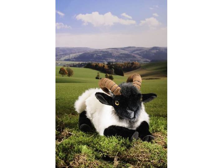 Kösen Kuscheltier Kösen Heidschnucke schwarz/weiß liegend 30 cm Stofftier Schaf