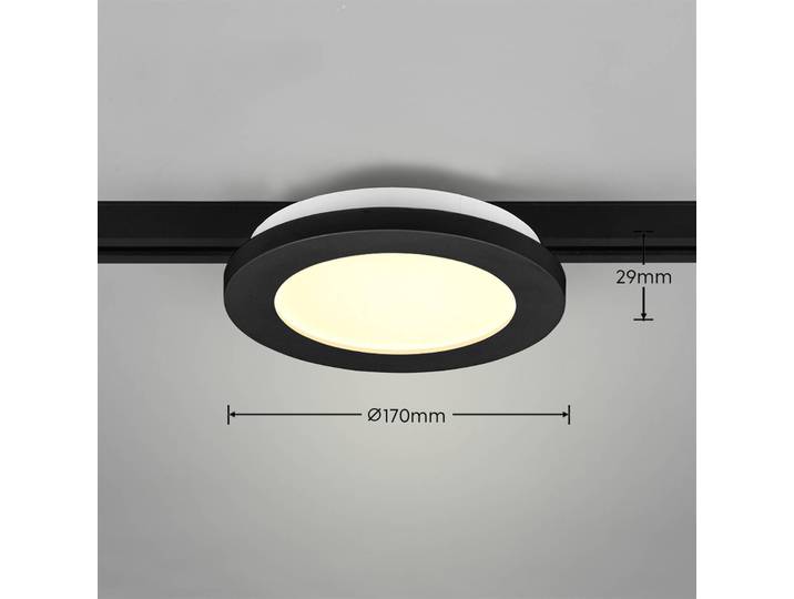 Trio Lighting LED-Schienenleuchte Camillus für DUOline, schwarz, Ø 17 cm Camillus, dimmbar, schwarz, für Wohn- / Esszimmer, Kunststoff, Modern, Schienensysteme