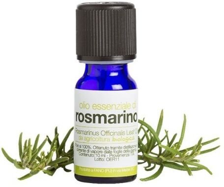 la saponaria Olio essenziale di Rosmarino