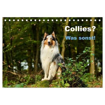 Collies? Was sonst! (Tischkalender 2026 DIN A5 quer), CALVENDO Monatskalender