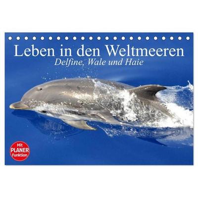 Leben in den Weltmeeren. Delfine, Wale und Haie (Tischkalender 2026 DIN A5 quer), CALVENDO Monatskalender
