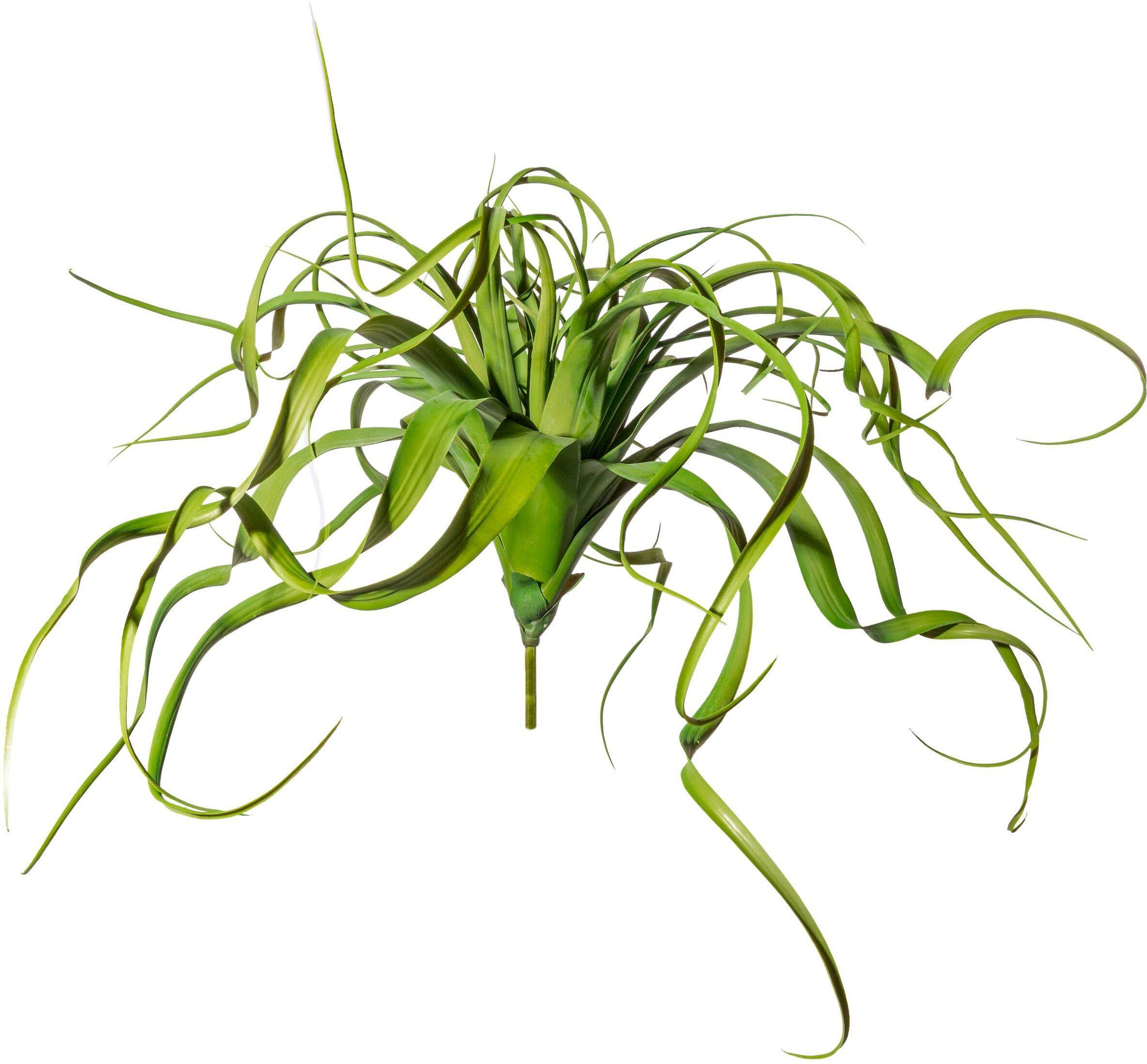 Kunstranke CREATIV GREEN "Tillandsien-Hänger", grün, H:30cm Ø:35cm, Kunststoff, Kunstpflanzen