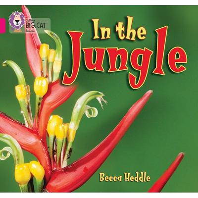 In the Jungle, Taschenbuch von Becca Heddle, HarperCollins, 978-0-00-751268-3
