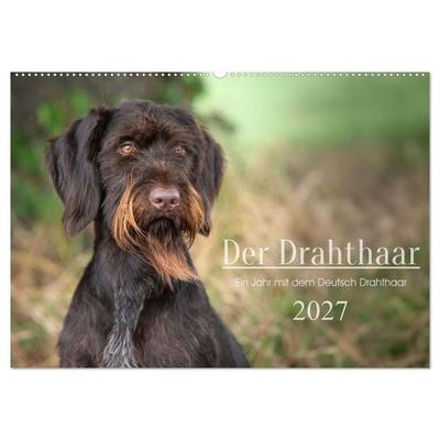 Der Drahthaar (Wandkalender 2027 DIN A2 quer), CALVENDO Monatskalender
