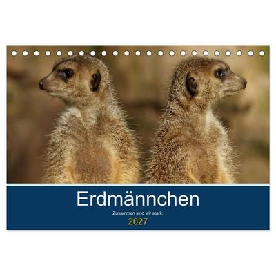 Erdmännchen - Zusammen sind wir stark (Tischkalender 2027 DIN A5 quer), CALVENDO Monatskalender