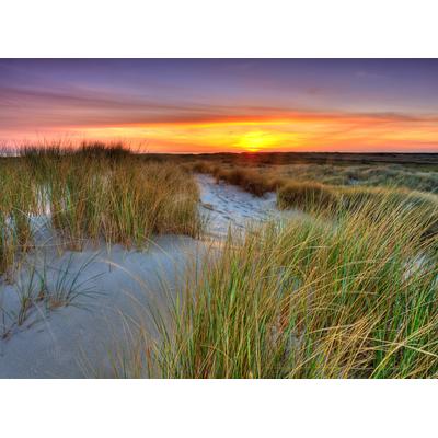 Papermoon "Dunes Sunset" glatt