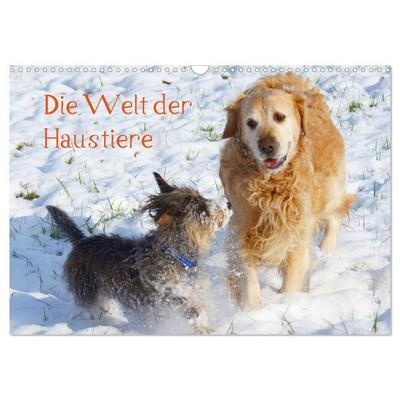Die Welt der Haustiere (Wandkalender 2026 DIN A3 quer), CALVENDO Monatskalender