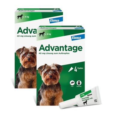 Advantage 40 Lösung f.Hunde bis 4 kg 2x 2x4 St
