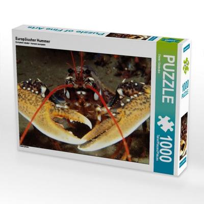 CALVENDO Puzzle Europäischer Hummer | 1000 Teile Lege-Größe 64x48cm Foto-Puzzle für glückliche Stunden