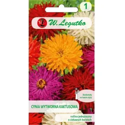 Zinnia, elegante Kaktusmischung