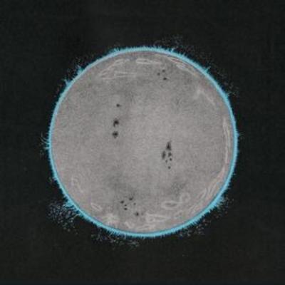 Endless Boogie: Vibe Killer - Endless Boogie, CD