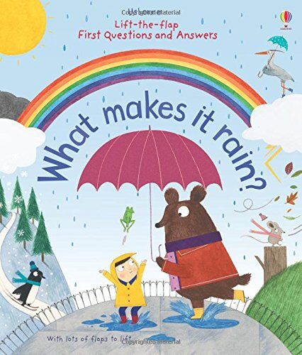 Katie Daynes - Lift-the-Flap First Questions and Answers What Makes it Rain? - Preis vom 30.09.2026 22:30:23 h