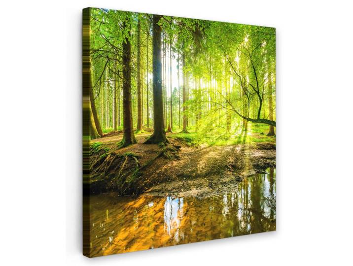LEINWANDBILD Wald - Landschaft - Wasser - Bäume - Sonne - Grün - Natur Wandbild Wohnzimmer 50x50 cm