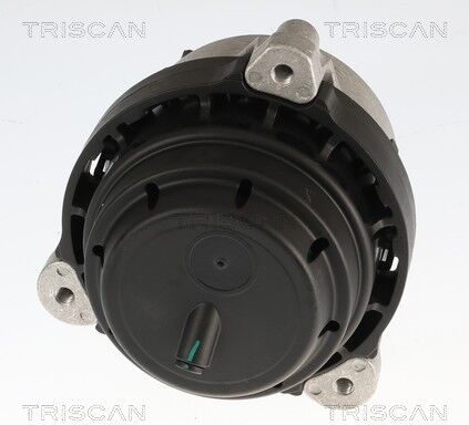 Triscan Lagerung, Motor 850511123 Für Bmw