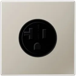 Jung Steckdose US-Norm NEMA ES 2521-20