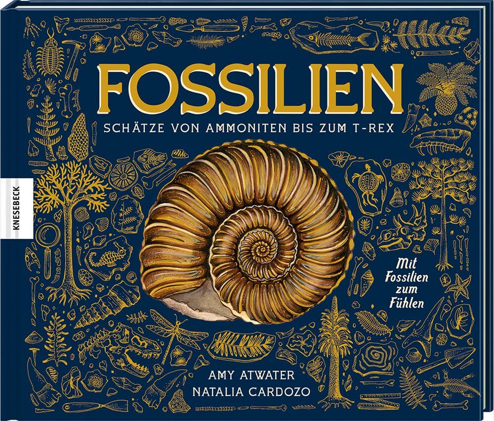 Amy Atwater - Fossilien – Schätze von Ammoniten bis zum T. Rex: Mit Fossilien zum Fühlen - Preis vom 04.10.2026 03:51:26 h