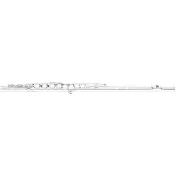 Di Zhao Querflöte 301 CCE 925LR