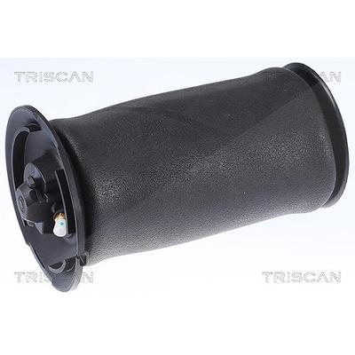 Triscan Luftfeder, Fahrwerk [Hersteller-Nr. 872011202] für BMW