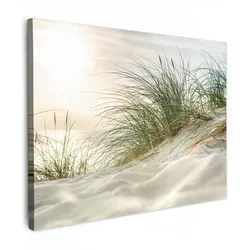 LEINWANDBILD Dünen mit Strandhafer in der Sonne des Nationalparks Schleswig-Holsteinisches Wattenmeer Wandbilder 80x60 cm