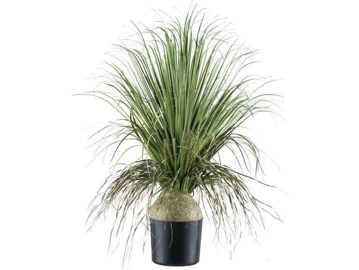 Kunstpflanze CREATIV GREEN Elefantenfuß , grün, H:68cm, Kunststoff, Kunstpflanzen, Kunstpflanze, mit zahlreichen Blättern