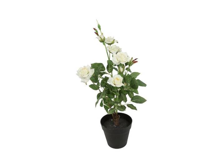 Countryfield zijden Camellia kunstplant 50 cm wit