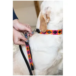 HFI Master Polo (Hund, Spazieren), Halsband + Leine