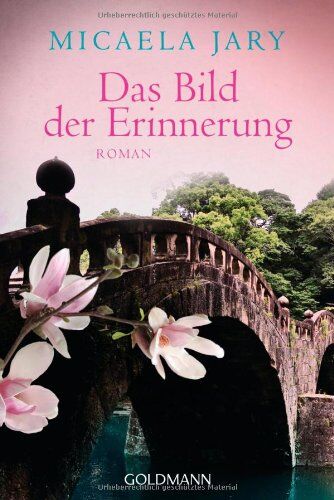 Micaela Jary - Das Bild der Erinnerung: Roman - Preis vom 16.10.2026 11:41:07 h
