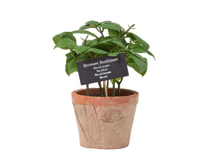 KUNSTPFLANZE Monstera, 60 cm