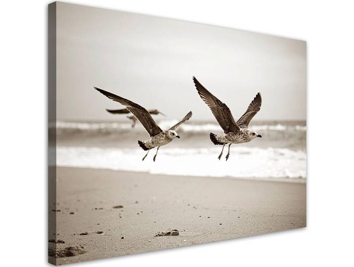 Feeby Leinwandbild Möwen Vögel Meer Strand beige 120x80cm, Beige, Landschaft/Berg, Rechteckig, 120x80 cm, Bilder & Rahmen, Bilder, Leinwandbilder