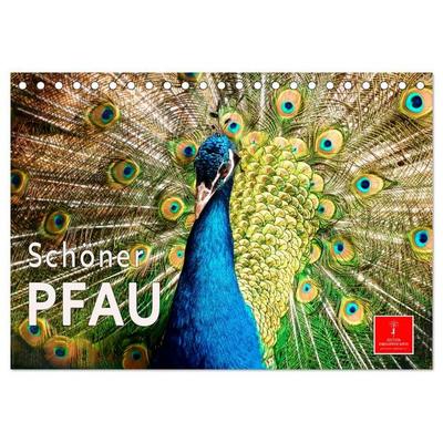 Schöner Pfau (Tischkalender 2027 DIN A5 quer), CALVENDO Monatskalender
