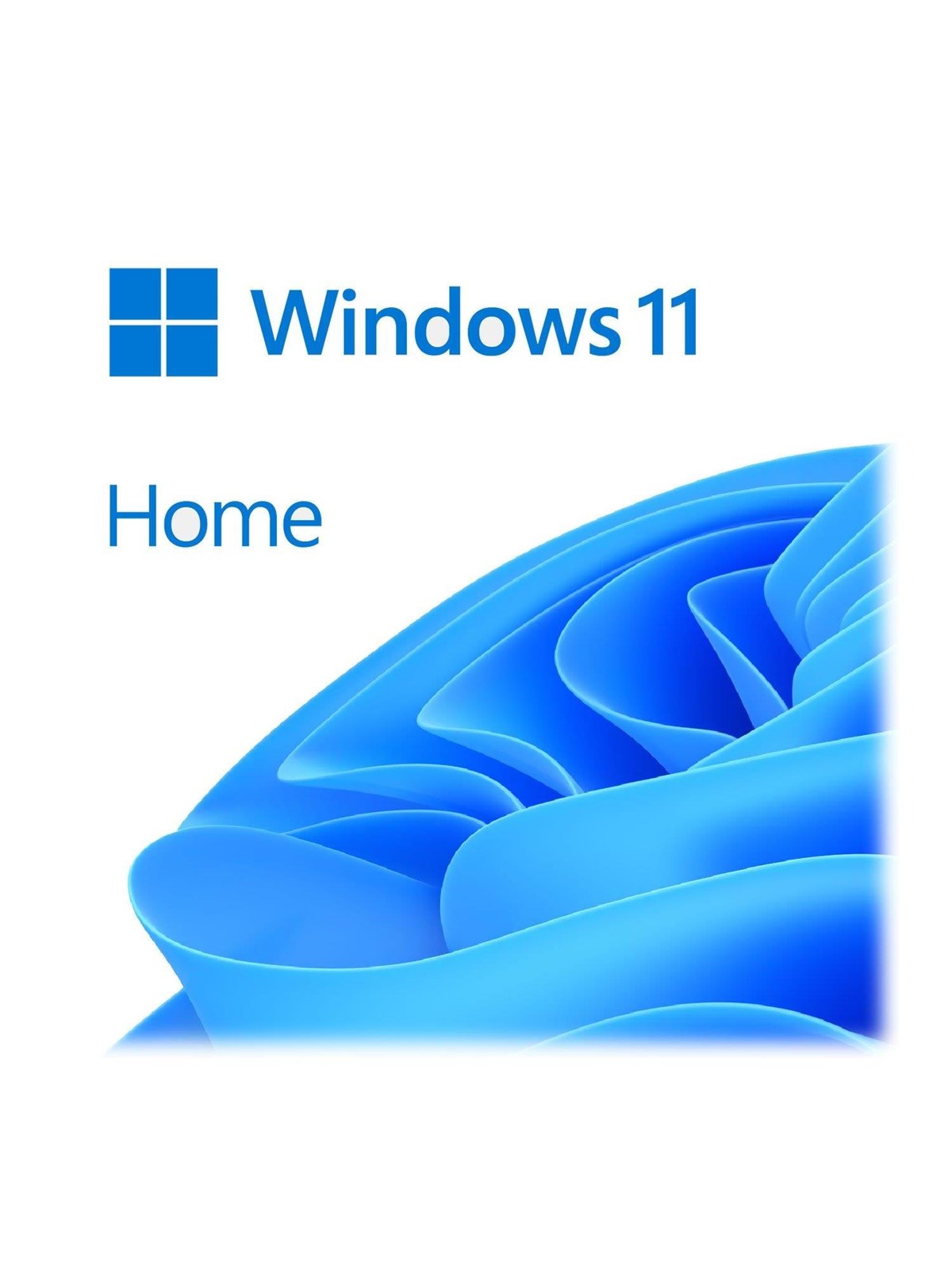 Microsoft Windows 11 Home - DVD-ROM - Englisch
