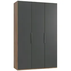 Drehtütenschrank Level 36A ca. 150x236x58cm Graphitfarben