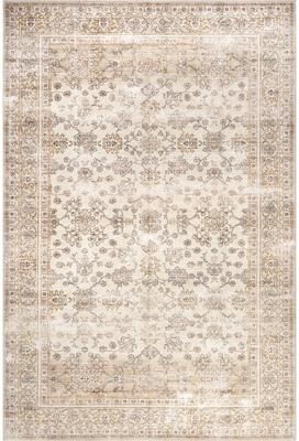 Nuloom Sia SplashGuard Vintage Floral Machine Washable Area Rug