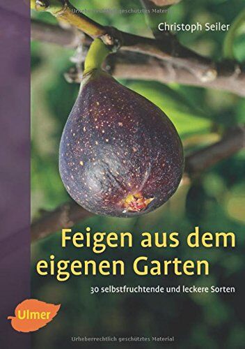 Christoph Seiler - Feigen aus dem eigenen Garten: 30 selbstfruchtende und leckere Sorten - Preis vom 09.10.2026 07:28:09 h