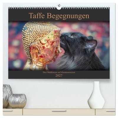 Taffe Begegnungen-Drei Waldkatzen auf Abenteuerreisen (hochwertiger Premium Wandkalender 2027 DIN A2 quer), Kunstdruck in Hochglanz