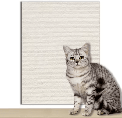 Inspire Picks Climb Guard Self Adhesive Cat Climbing & Scratch Protection Mat mibaise 30cmx200cm