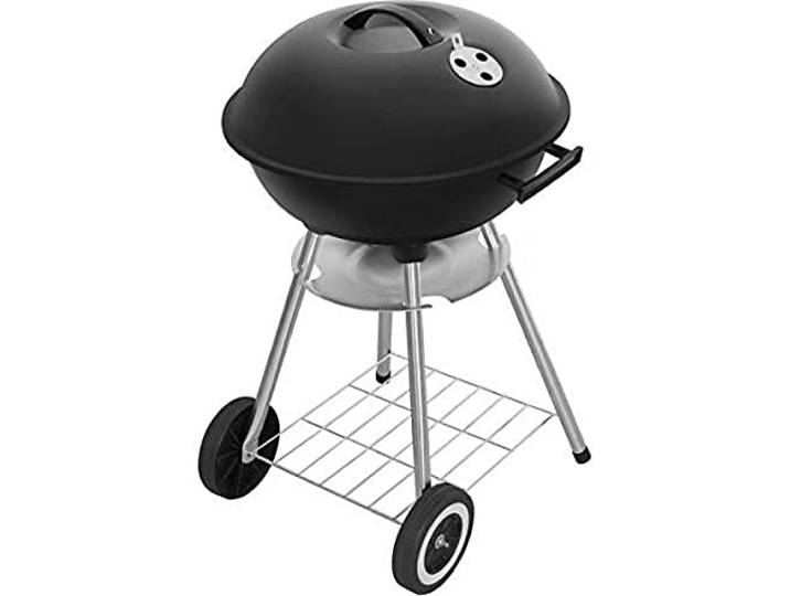 Fieldmann Grill mit Kohle, Garten