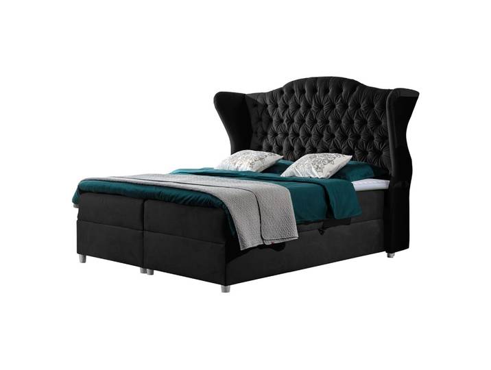 BOXBETT Livia - H3