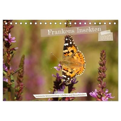 Frankens Insekten (Tischkalender 2027 DIN A5 quer), CALVENDO Monatskalender