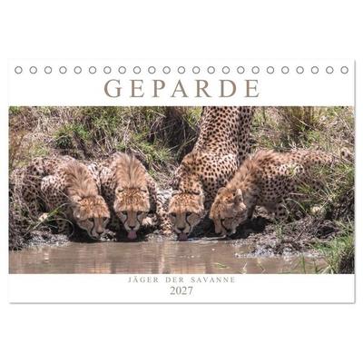 Geparde - Jäger der Savanne (Tischkalender 2027 DIN A5 quer), CALVENDO Monatskalender