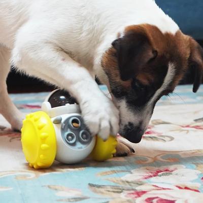 PetsAreLife Interactive Dog Puzzle Feeder Slow Feed Treat Toy For Healthy Pets green Style 2