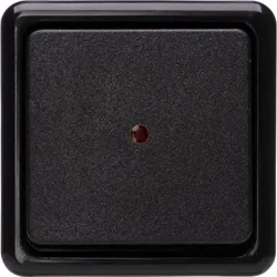 Kopp 514605009 STANDARD - Aufputz Kontrollschalter, Farbe: schwarz
