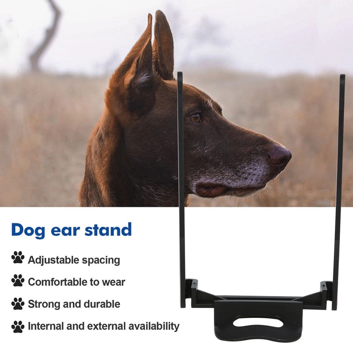 INF Dobermann-Ohrstellhilfe mit verstellbarem Abstand, gebogener ABS-Basis und Bandage