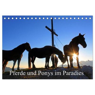 Pferde und Ponys im Paradies (Tischkalender 2027 DIN A5 quer), CALVENDO Monatskalender