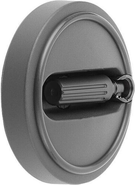 KIPP Volant D1=125 Alésage avec rainure D2=16H7 Thermoplastique (K0259.31251605)