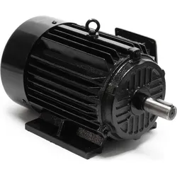 Wiltec, Elektromotor, Elektromotor