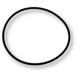 O-Ring für Schlauchtülle für SPS Pumpen