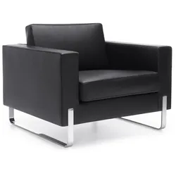 Lounge Leder Sessel Büro
