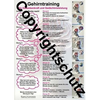 Gehirntraining - für Gedankenkraft und Gedächtnisleistung, Zubehör von Tanja Aeckersberg, Aeckersberg, Ingrid, 978-3-911548-28-1